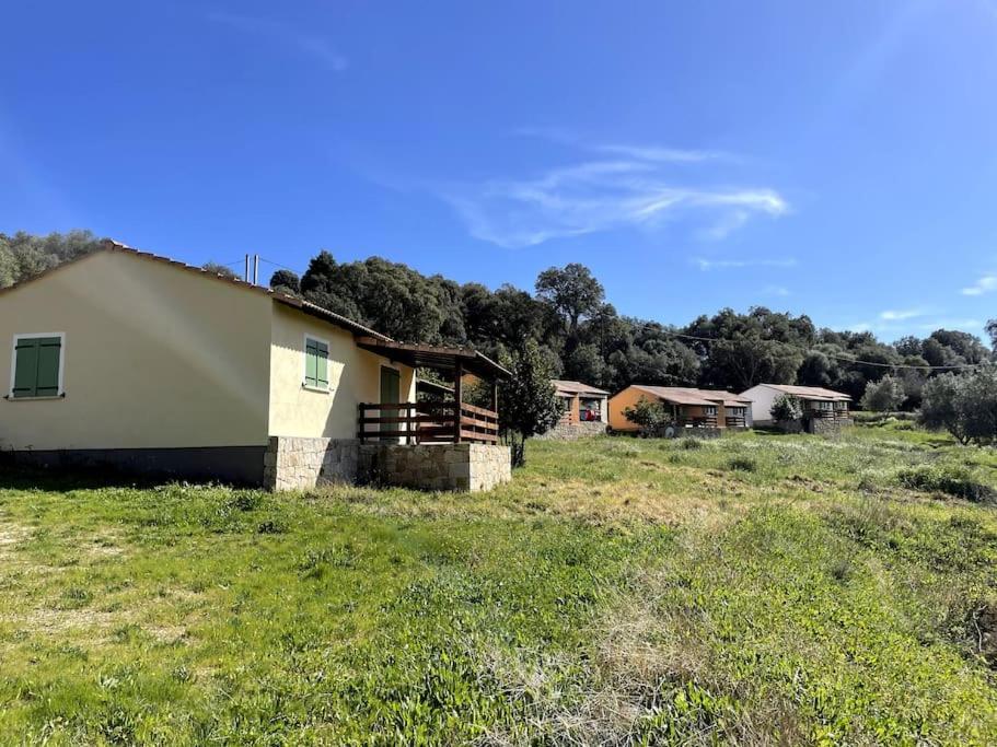 Maison Au Calme Avec Piscine Et Climatisation Sollacaro Exteriör bild
