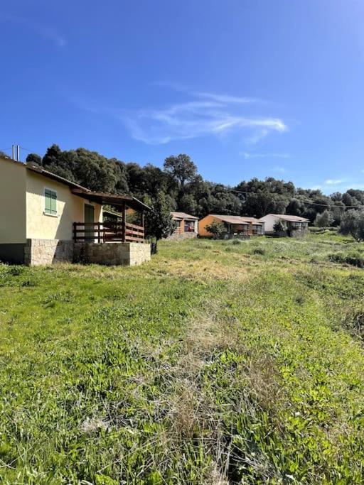 Maison Au Calme Avec Piscine Et Climatisation Sollacaro Exteriör bild