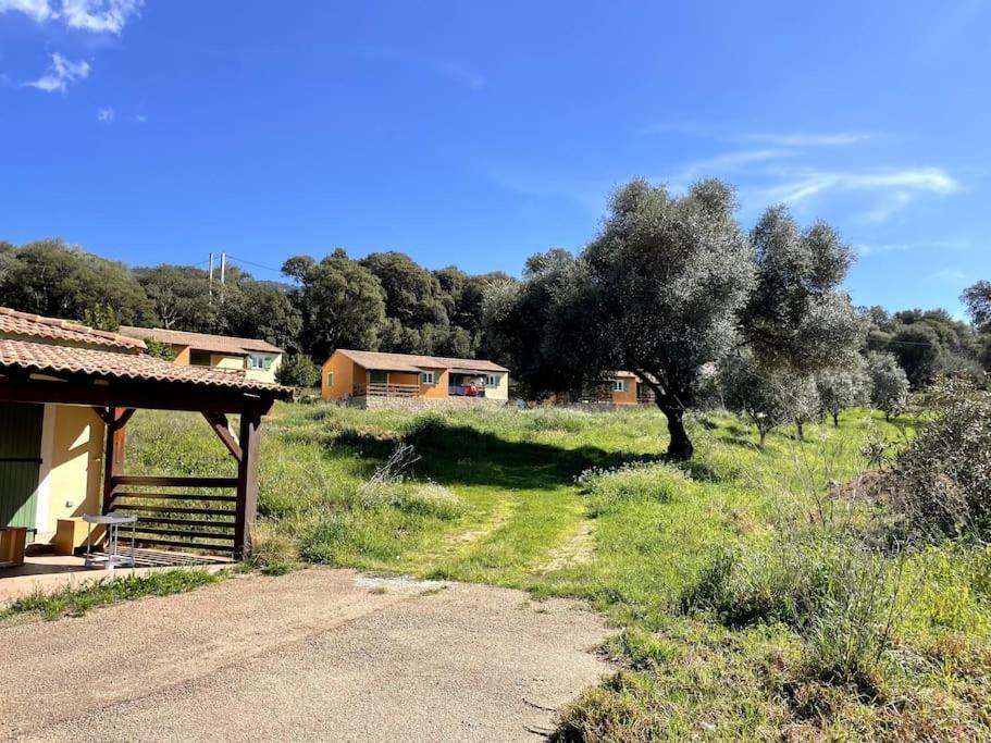 Maison Au Calme Avec Piscine Et Climatisation Sollacaro Exteriör bild